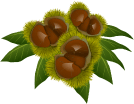 �I